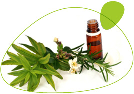 DU Phytothérapie et Aromathérapie